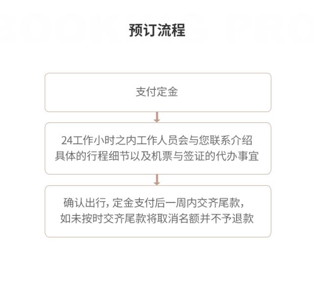 2024/12/000001,m_675580c11e0f5.jpg?v=12